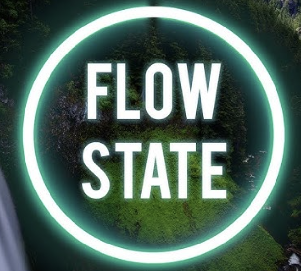 Get info flow state with SOCO